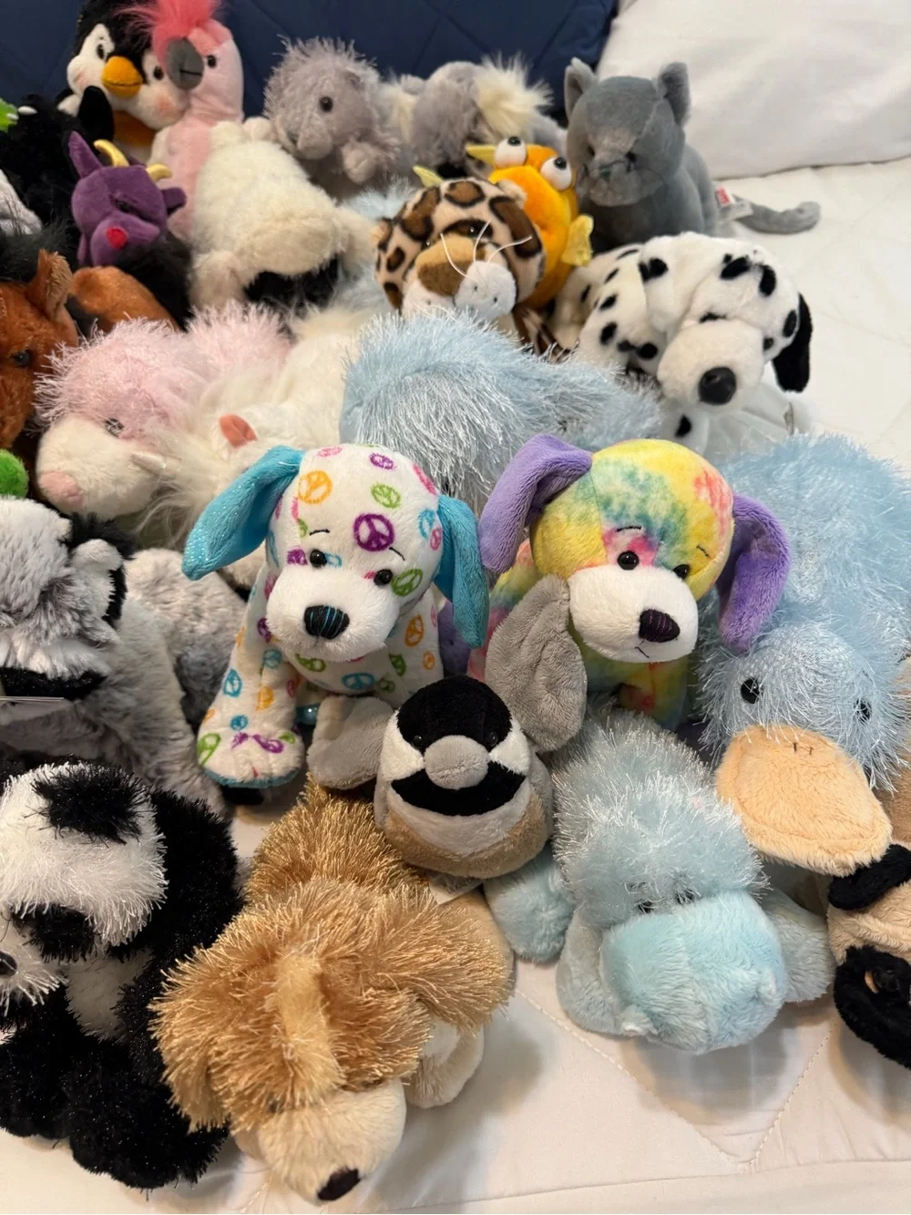 GANZ webkinz plush